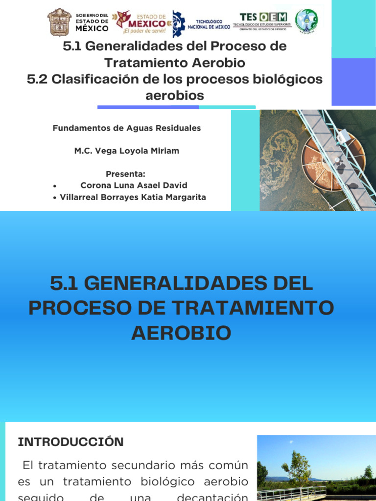 Procesos biológicos aeróbicos | PDF | Aguas residuales | Eutrofización