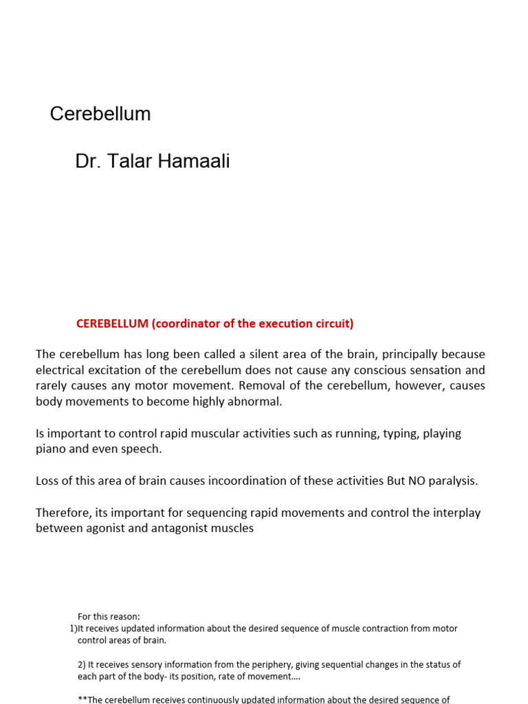 Understanding the Cerebellum's Role | PDF | Cerebellum | Brainstem
