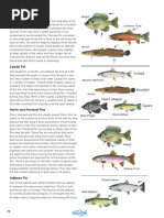 Epichordal Lobe in Fish Fins | PDF | Vertebra | Fin