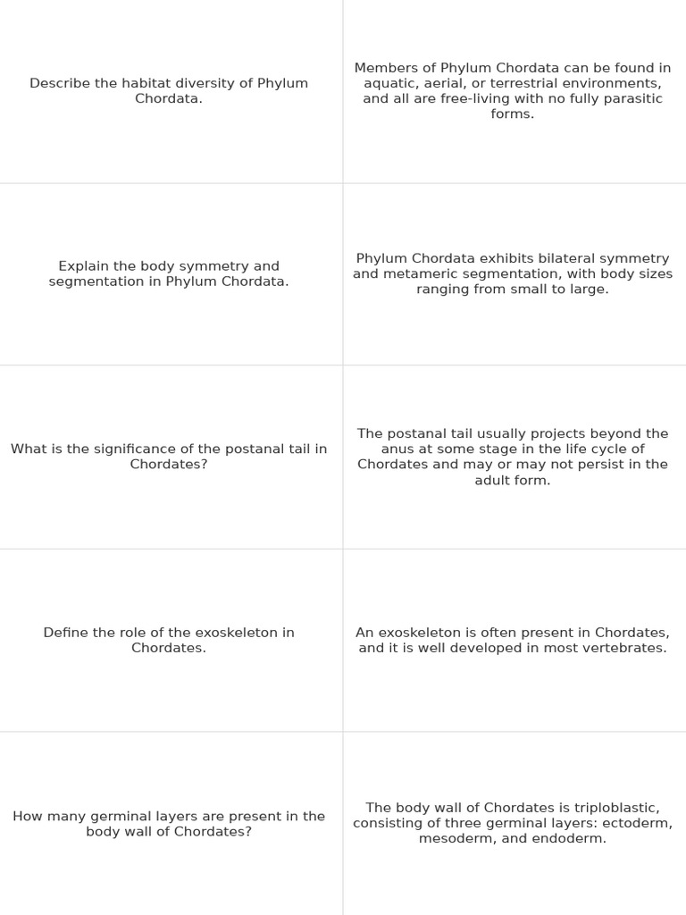 Key Characteristics of Phylum Chordata | PDF | Vertebrates | Skeleton