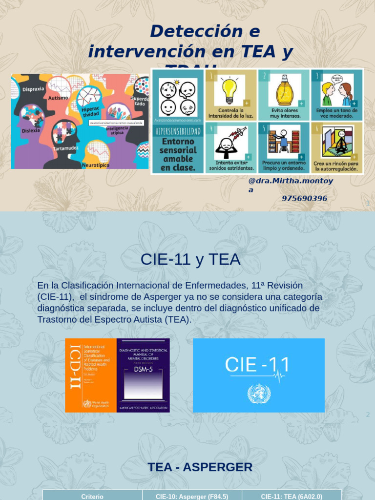 Guía para TEA y TDAH en el Aula | PDF | Autismo | Desorden hiperactivo ...