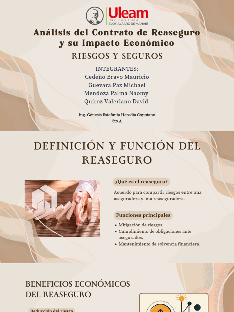 Definición y Función del Reaseguro | PDF | Reaseguro | Seguro