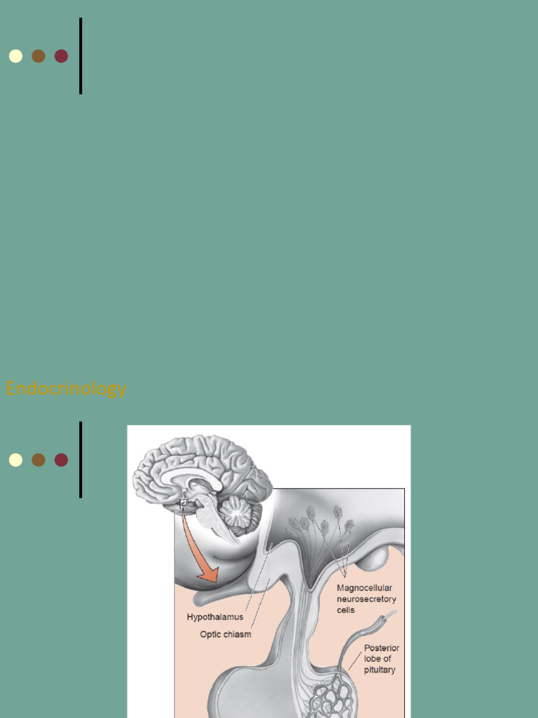 Pituitary and Hypothalamic Disorders | PDF | Growth Hormone | Hypothalamus