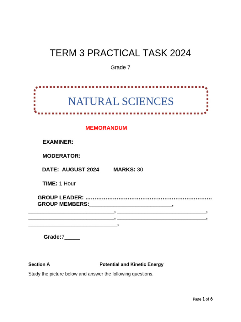 Grade 7 Term 3 Energy Project 2024 | PDF | Potential Energy | Physics