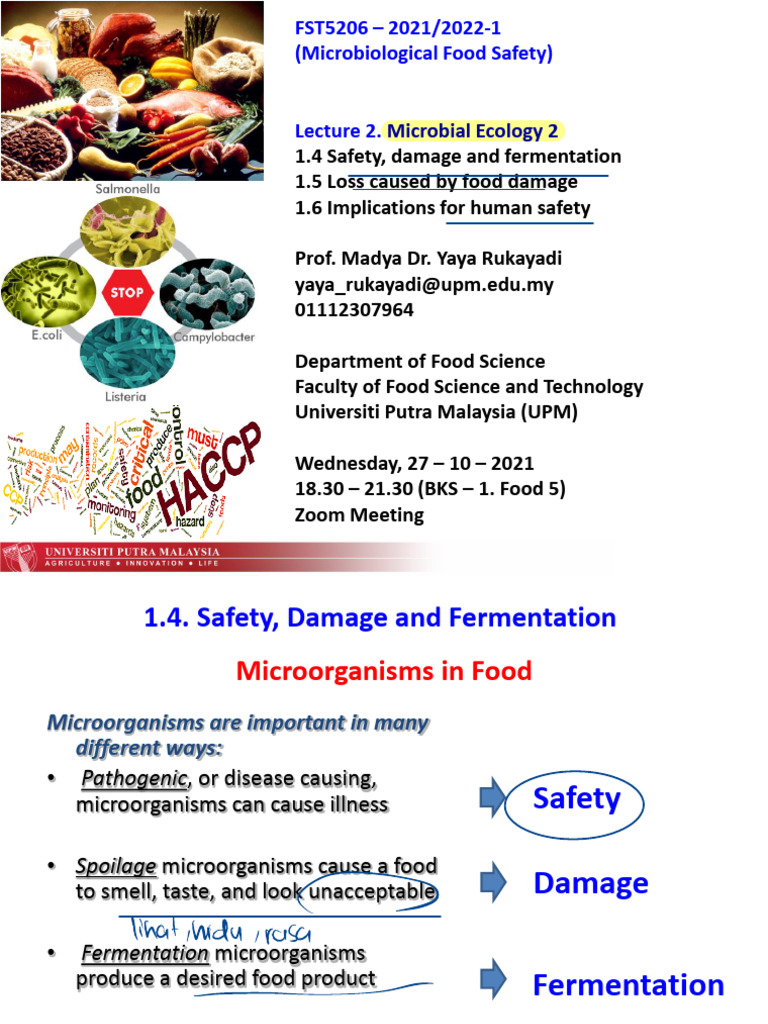 Microbial Food Safety Overview | PDF | Fermentation In Food Processing ...