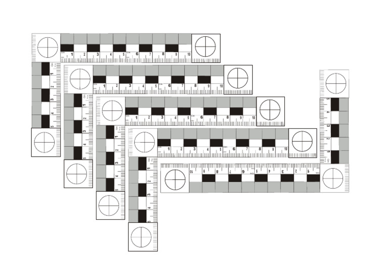Testigos L 10x5 | PDF