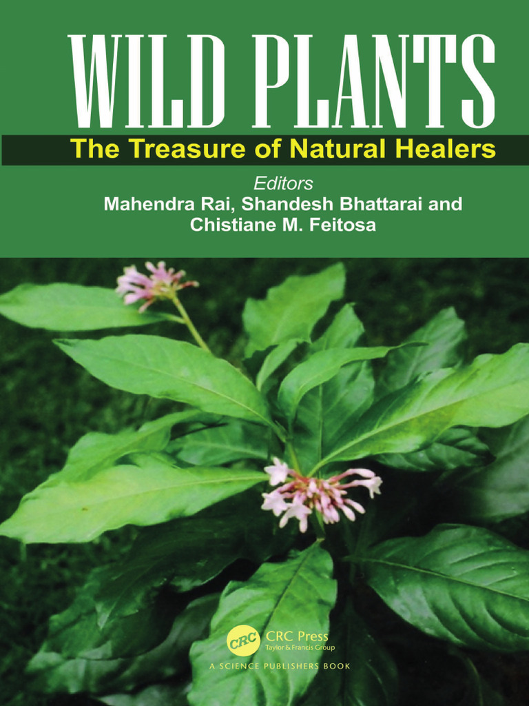 Medicinal Plants and Traditional Healing | PDF | Alternative Medicine ...