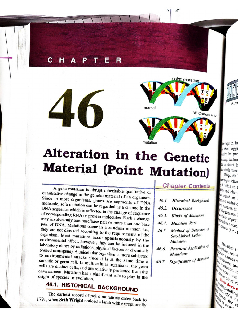 Mutations ... 4.3 | PDF