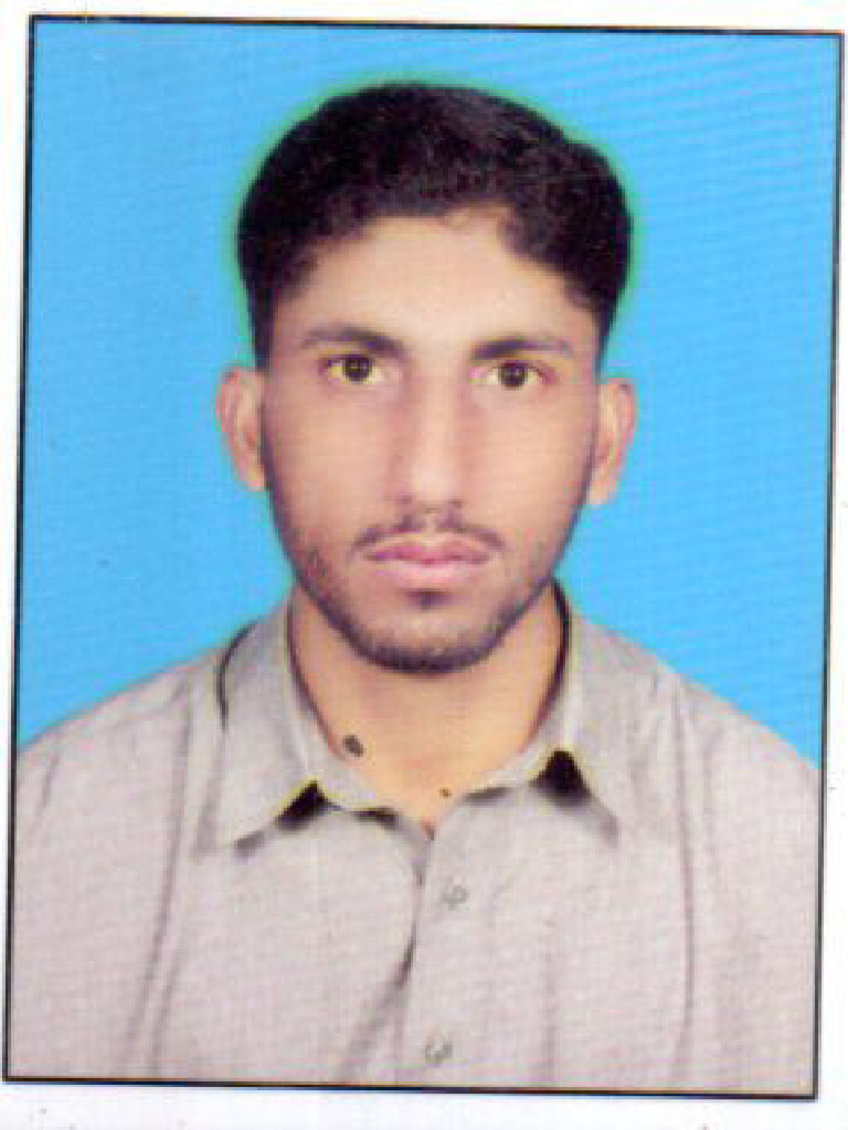 Hasnat Manzoor | PDF