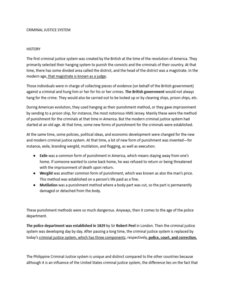 Overview of the Criminal Justice System | PDF | Bail | Prosecutor