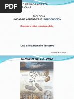Protobiontes: Origen de la Vida | PDF | Biología Celular) | Abiogénesis