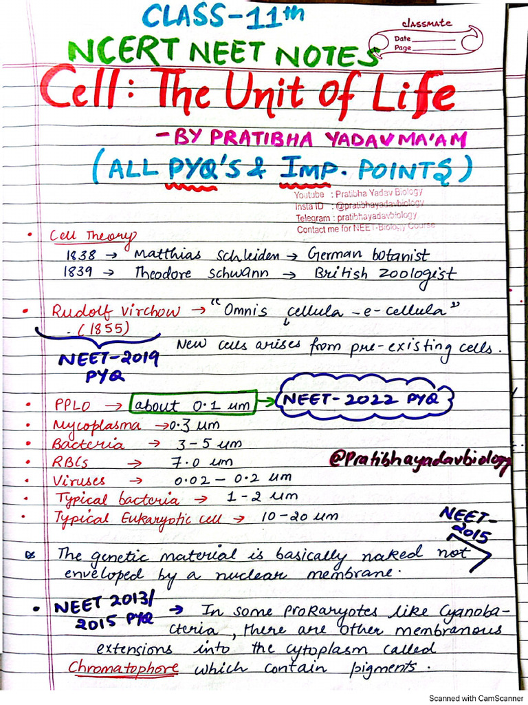 XI Ch 8 Cell - The Unit of Life Part2 -PY Mam NCERT Short Notes | PDF
