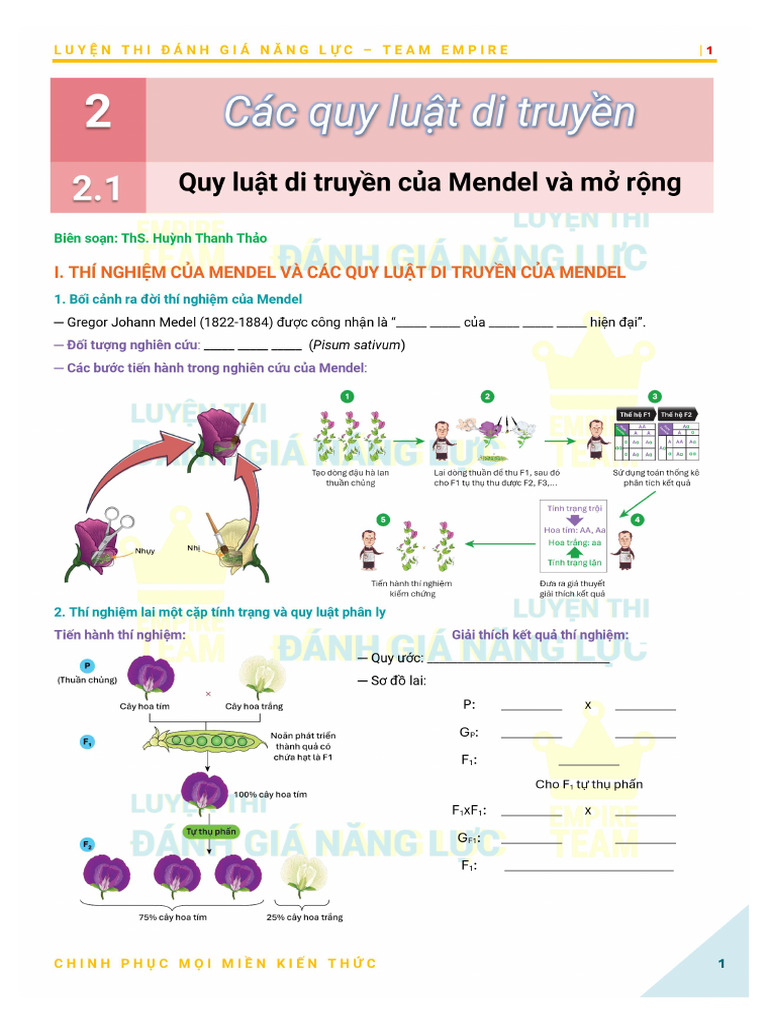 2.1A. Quy Luật Di Truyền Của Mendel Và Mở Rộng (Lý Thuyết) | PDF
