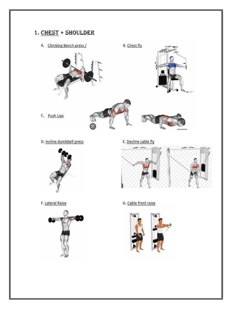Chest and Delts Workout Guide | PDF
