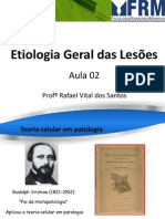 Etiologia Lesões