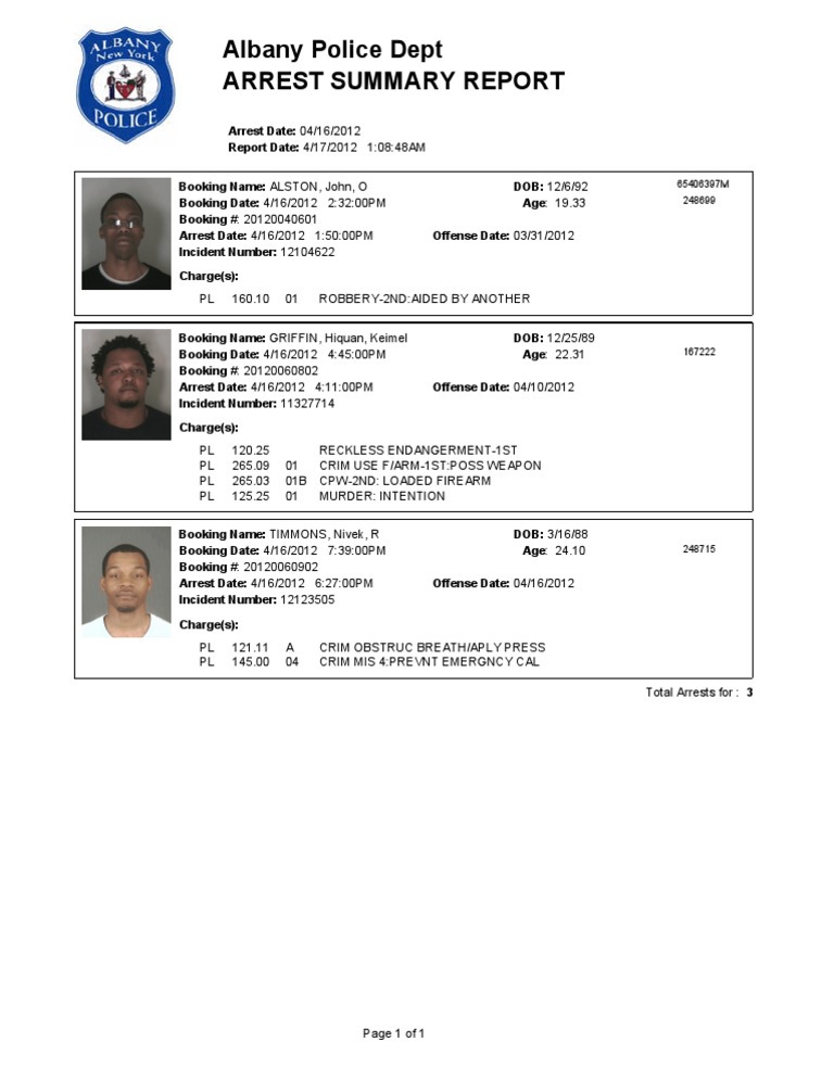 Albany Police Arrest Summary Report | PDF | Mystery, Thriller & Crime ...