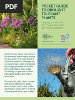 RHS Pocket Guide To Drought Tolerant Plants