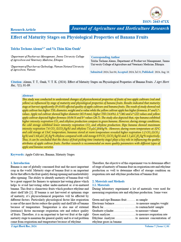 Maturity Effects on Banana Quality | PDF | Botany | Edible Plants