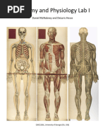 Anatomy & Physiology Lab Manual 4th Ed. | PDF | Nervous System ...