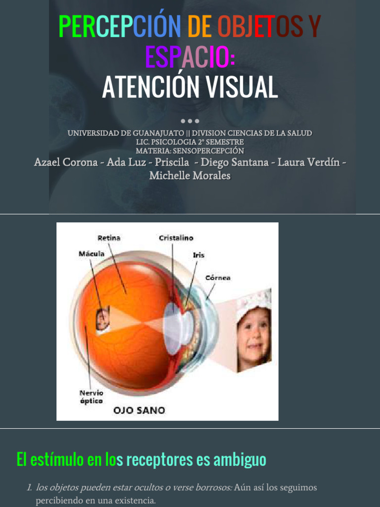 Percepción Visual y Atención en Psicología | PDF | Percepción ...