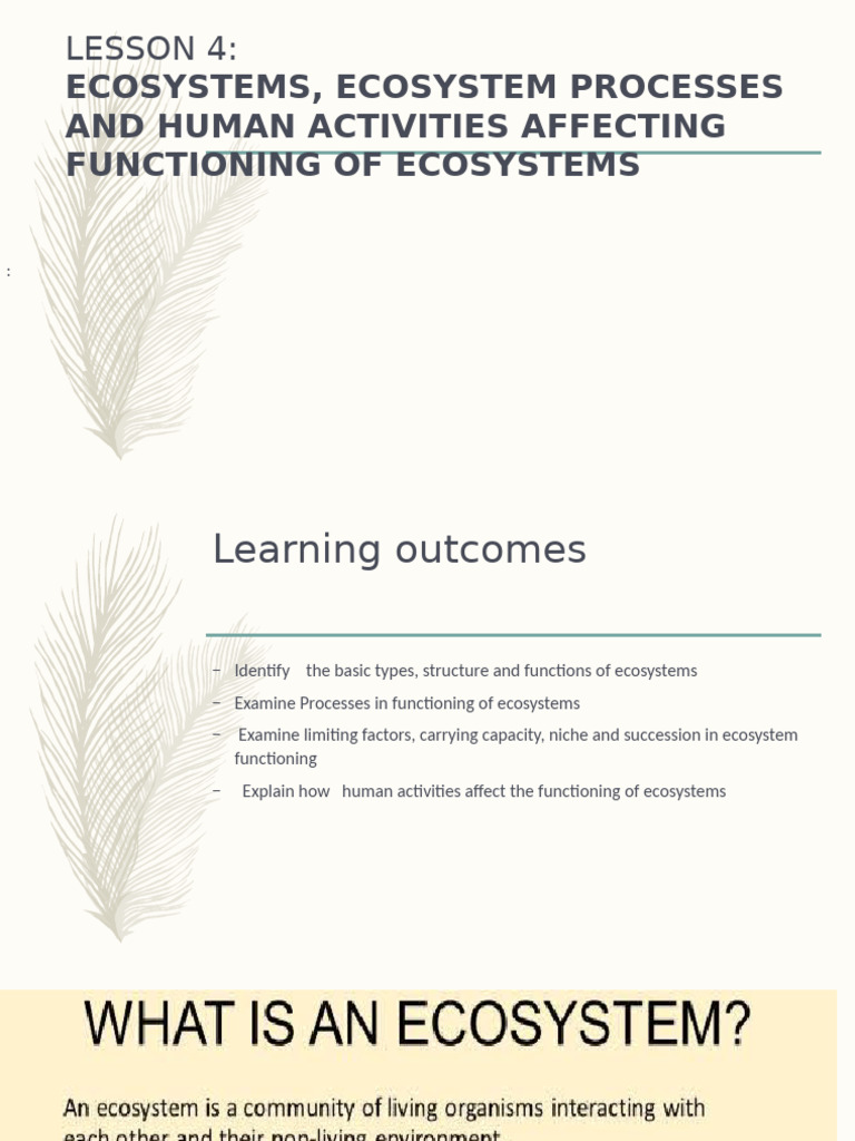 Ecosystem Types and Human Impact | PDF | Food Web | Ecosystem