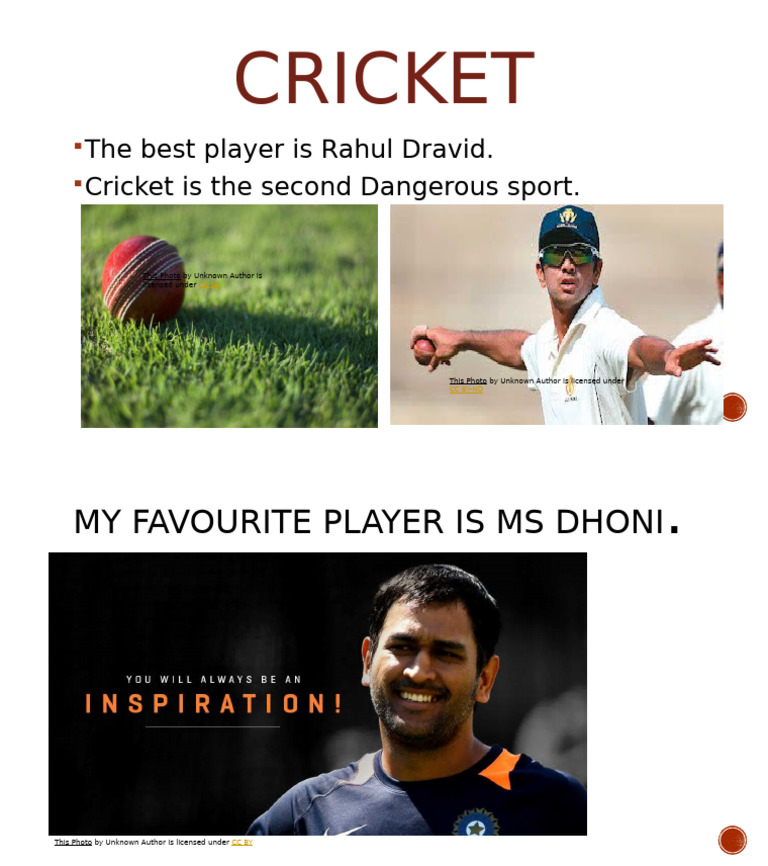 Cricket | PDF