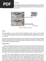 Download HIPERTROFI PROSTAT JINAK by Mustika Tika SN89807015 doc pdf
