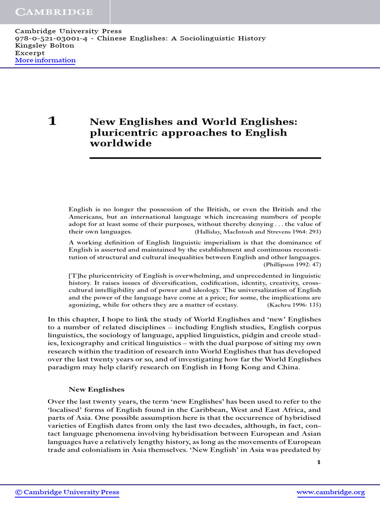 Understanding New Englishes Globally | PDF | English Language | Linguistics