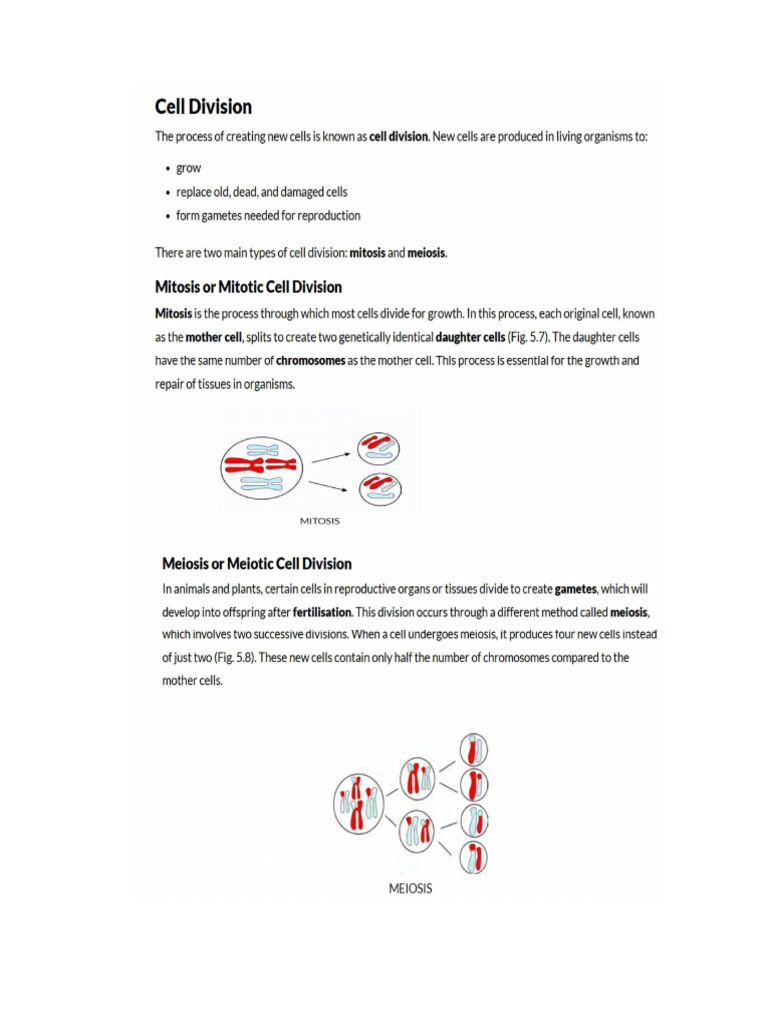 Cell Class 9 | PDF