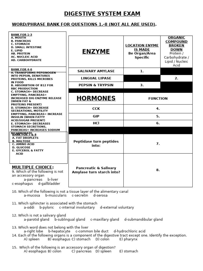 Digestive System Exam Overview | PDF | Stomach | Digestion