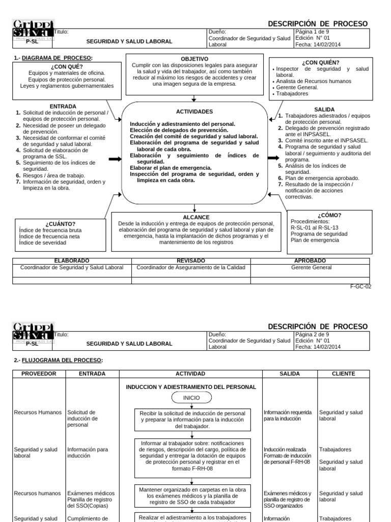 Proceso de Seguridad y Salud Laboral | PDF | Seguridad y salud ...