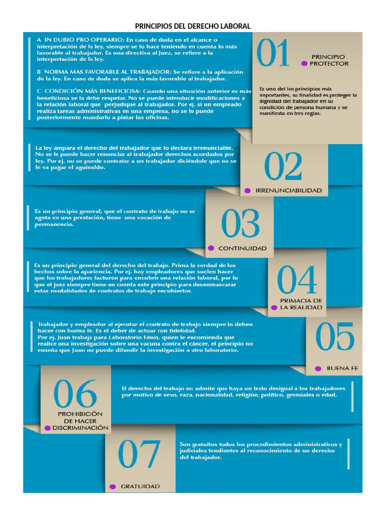 Principios Clave del Derecho Laboral | PDF | Derecho laboral ...