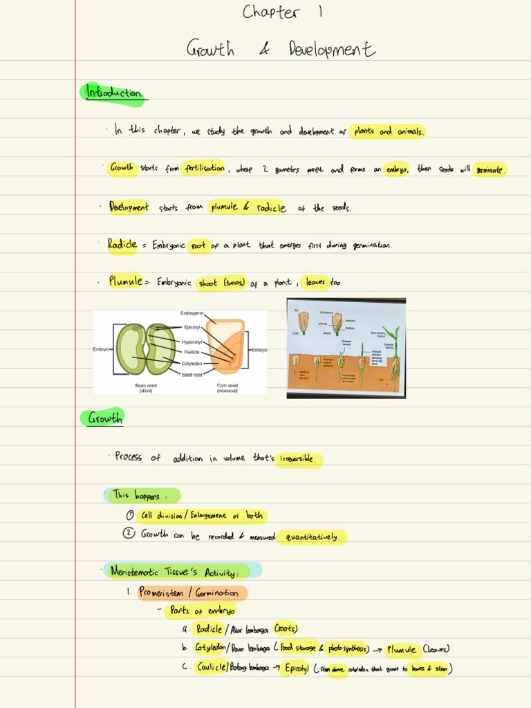 Plant and Animal Growth Overview | PDF | Embryo | Morphology (Biology)