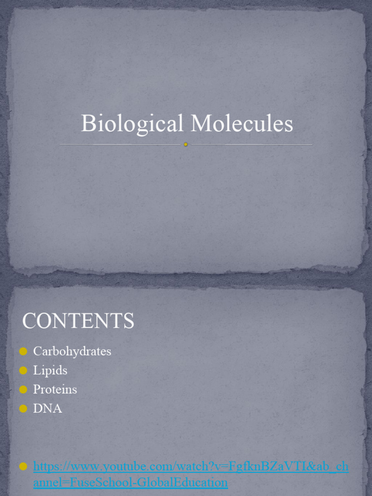 Overview of Biological Molecules | PDF | Carbohydrates | Glucose