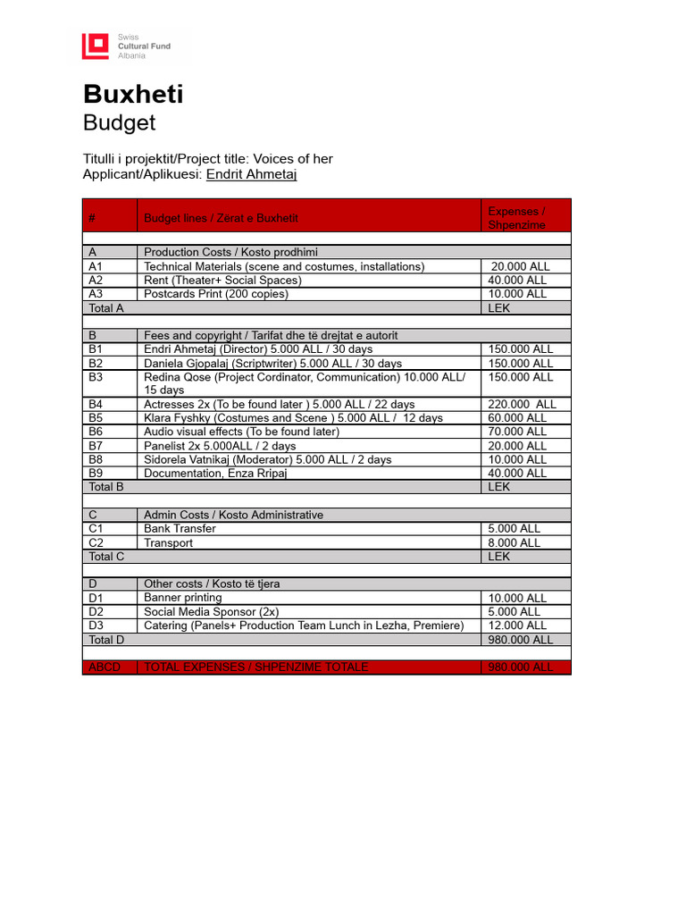Budget & Financial Plan Template | PDF