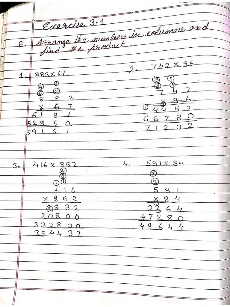Chapter 3 Notebook Exercise | PDF