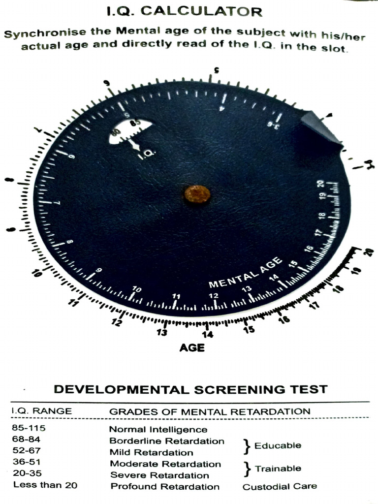 DST IQ Calculator | PDF