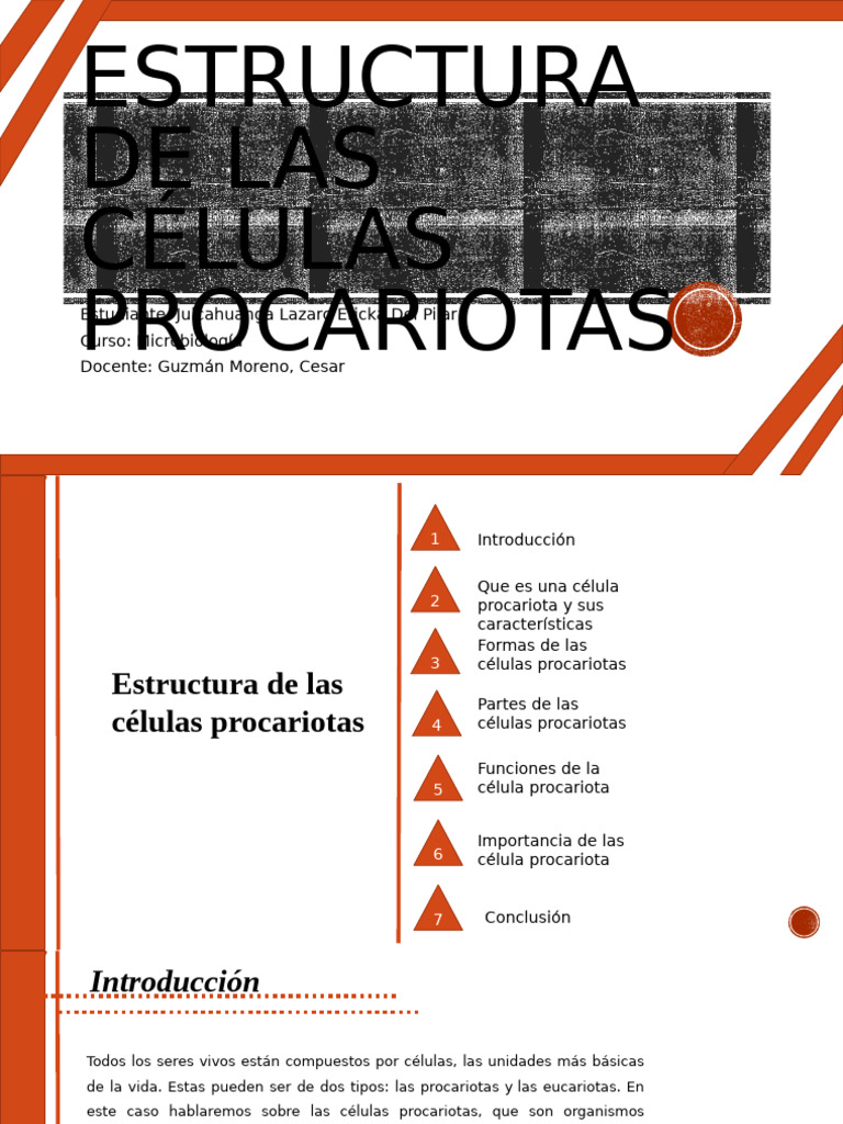 Estructura de las Células Procariotas | PDF | Biología Celular ...