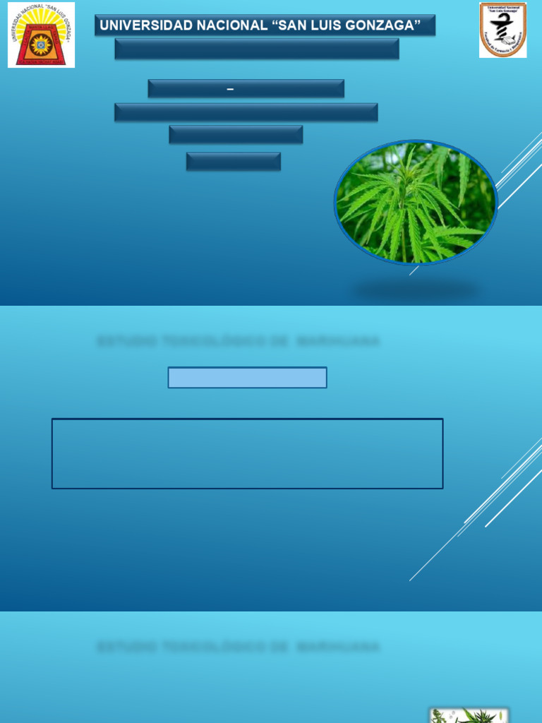 Pdfhandler Ashx | PDF | Cannabis (Droga) | Tetrahidrocannabinol