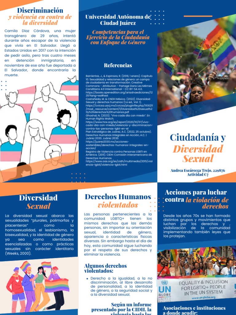 Diversidad Sexual y Derechos Humanos | PDF | Género | Estudios de género