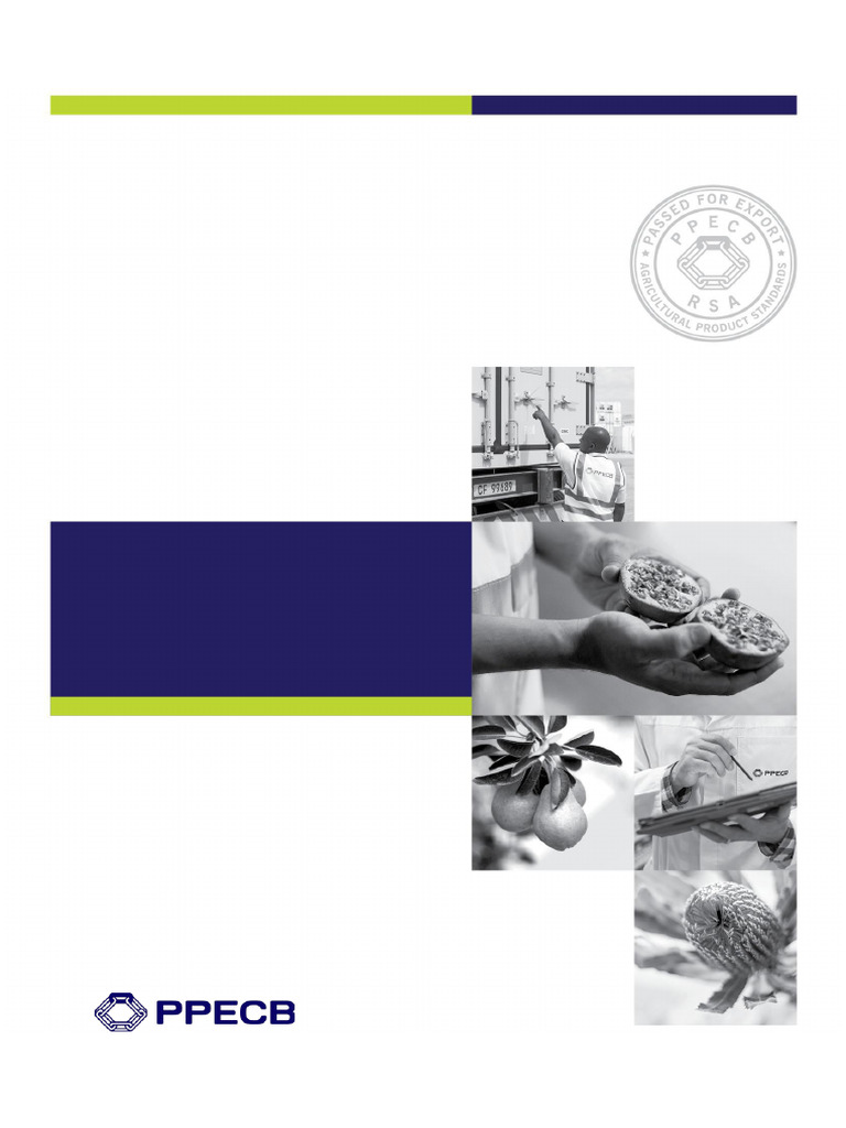 PPECB Strategic Objectives 2024/2025 | PDF | Cost Of Living ...