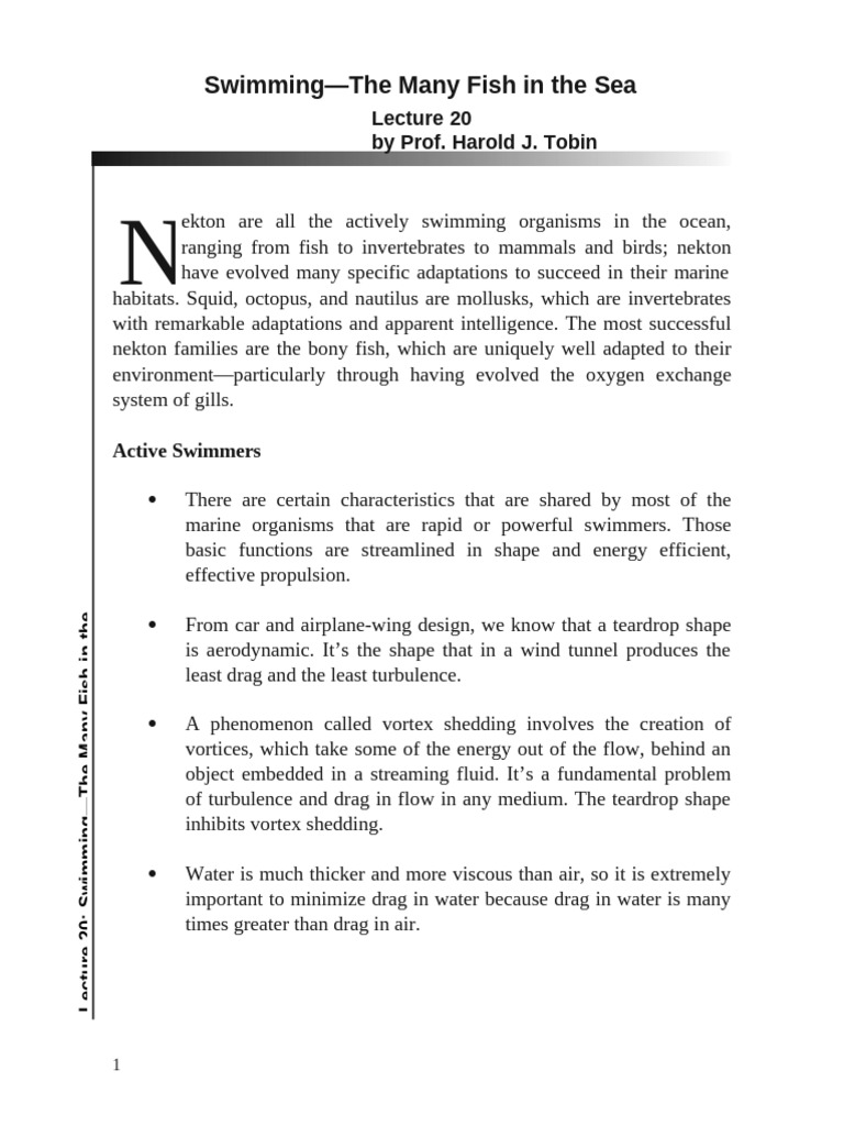 Lecture 20 SwimmingThe Many Fish in The Sea | PDF | Fish | Sharks