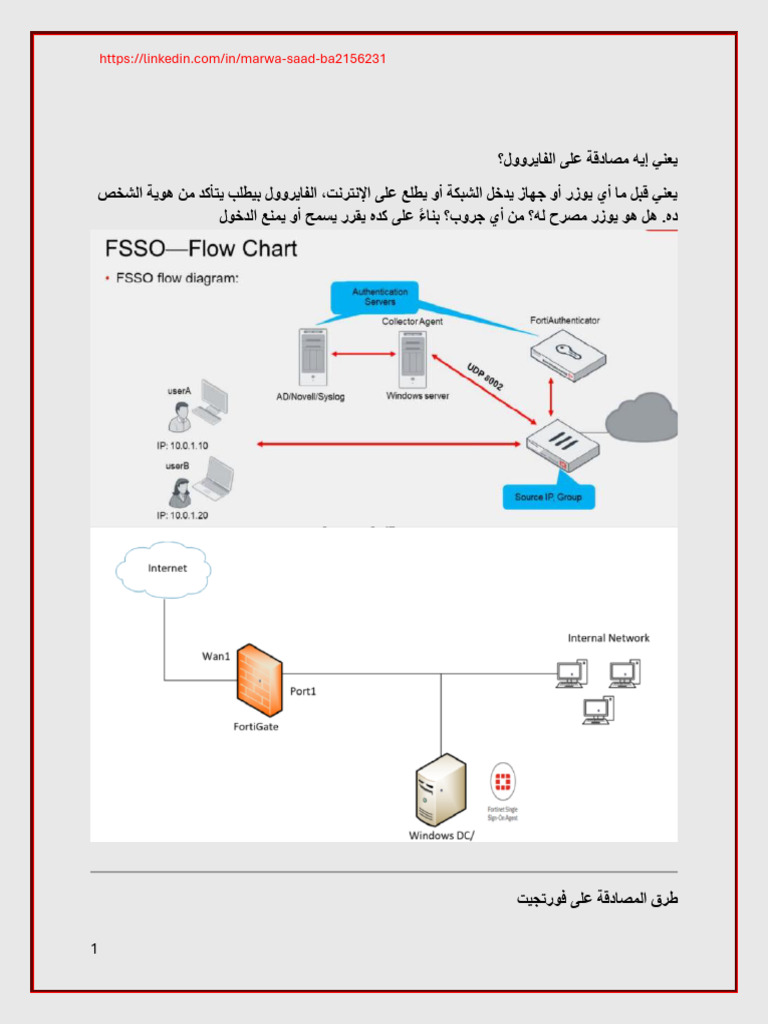 Fsso 1 | PDF