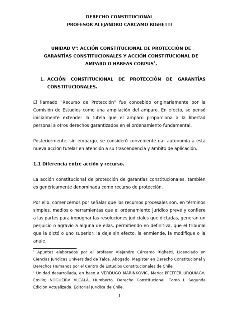 Accion de Proteccion y Amparo | PDF | Habeas corpus | Apelación