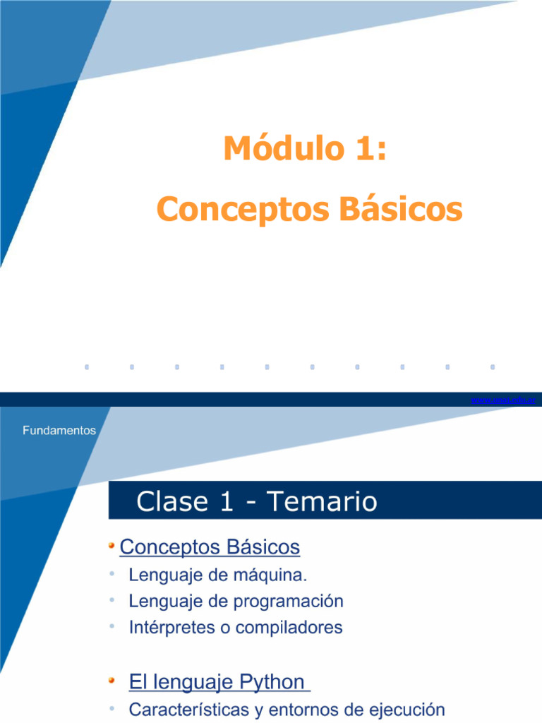 Modulo1 - Conceptos Básicos 2025 | PDF | Programación | Programa de ...