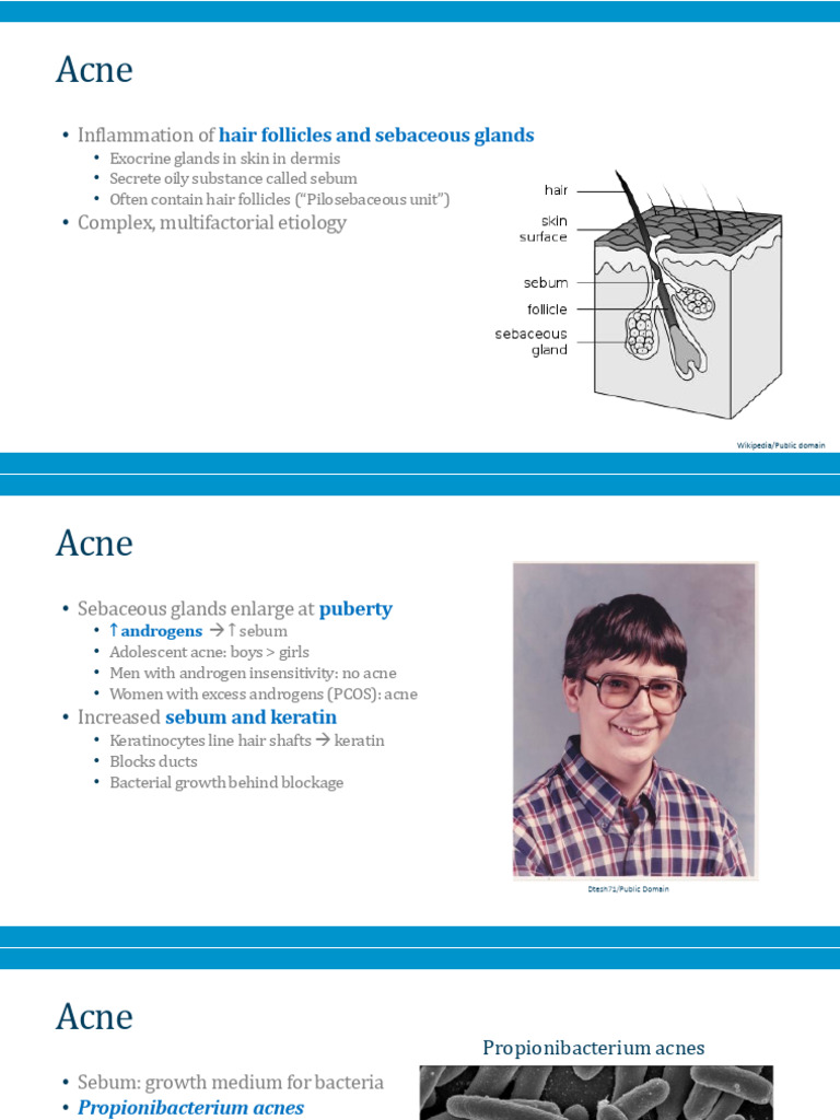 Skin Rashes 21 27 | PDF