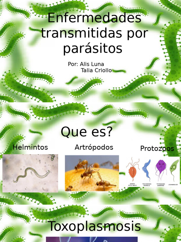 Enfermedades Transmitidas Por Parásitos | PDF