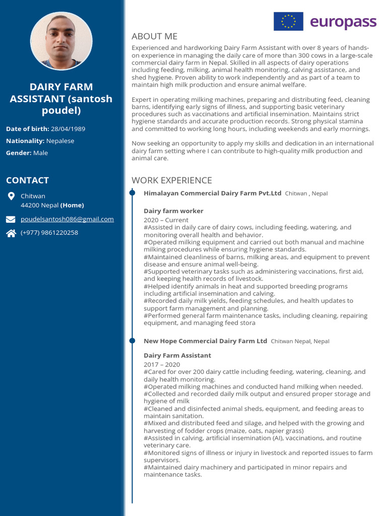 Dairy Farm Assistant CV Sample | PDF | Dairy | Dairy Farming