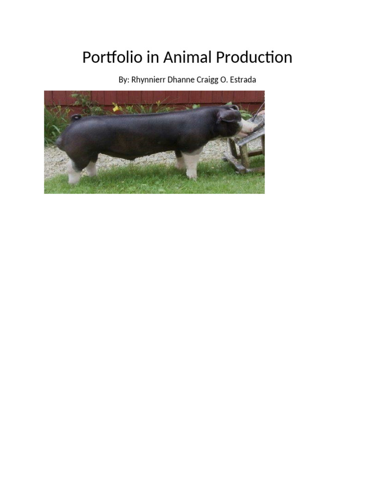 Portfolio in Animal Production | PDF