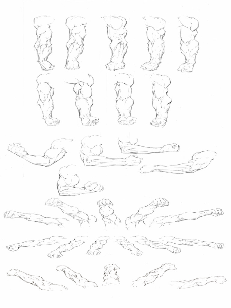 Arm Reference Studies Collected | PDF